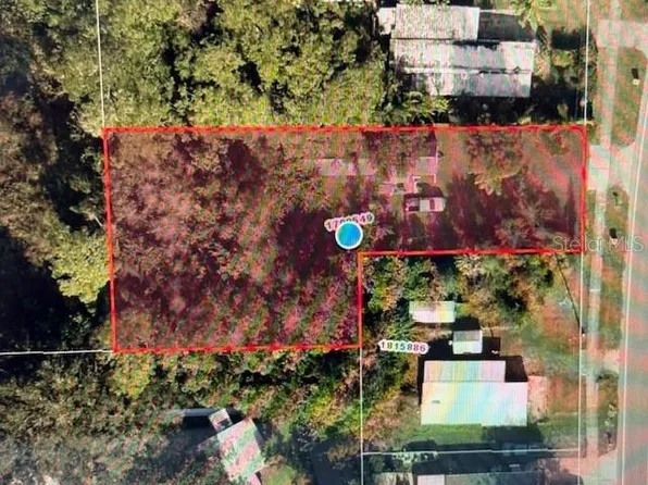 31333 David Walker Dr, Tavares, FL 32778