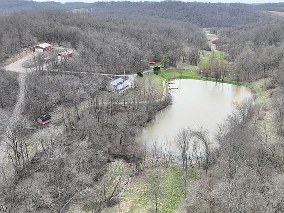 2nd image of 39000 Lees Run Rd
