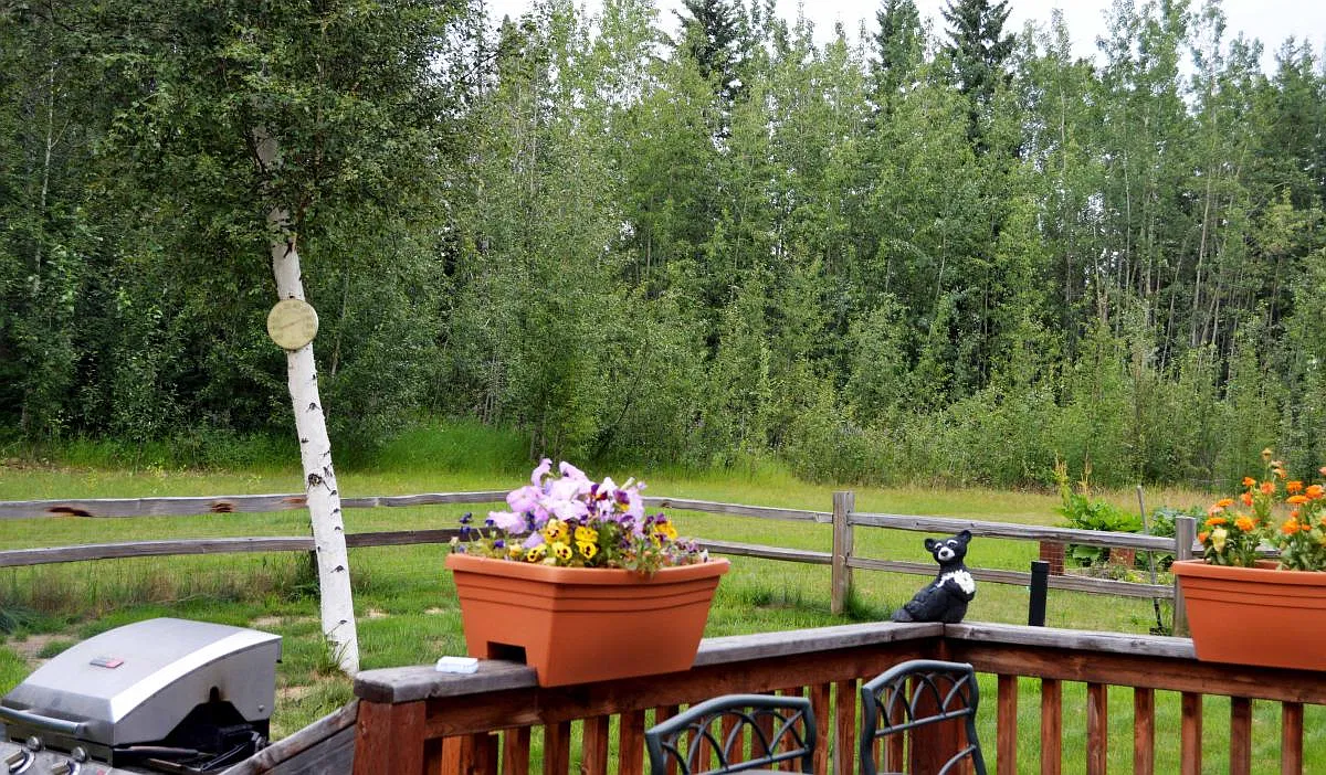 1 bed, 900 sqft, $2,200 — Photo 3