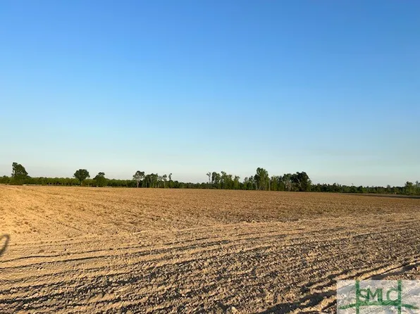 0 Harmony Road, Sylvania, GA 30467