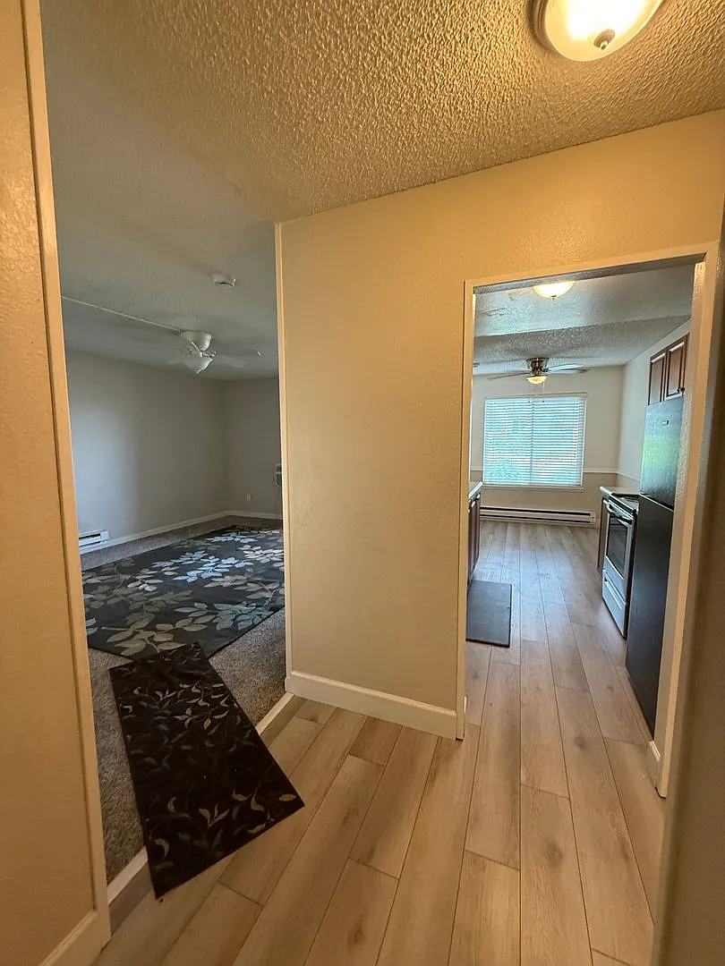 Available Immediately! — Photo 2