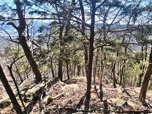 2nd image of 9 Lodge Point Rd