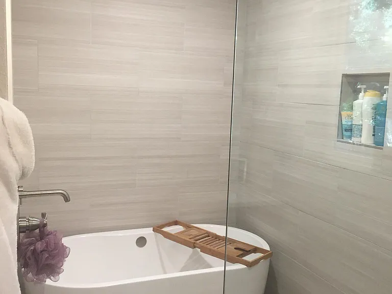 Master Shower / Tub Combo