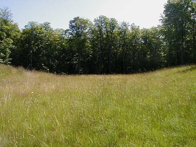 1st image of 112 Eden Dr