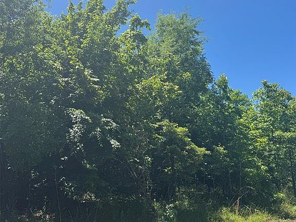 2nd image of 55 Ridge Rd Lot 55