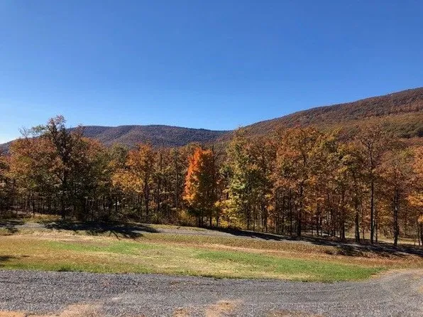 835 Goldenseal Rd, Maysville, WV 26833