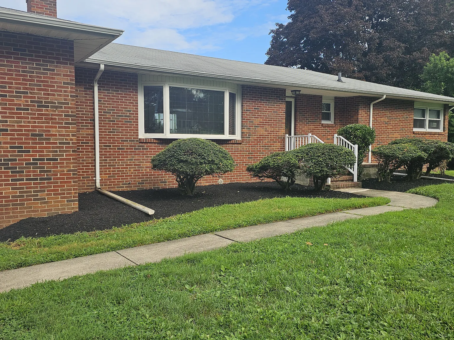 3 bed, 1.5 bath, 1761 sqft, $3,000 — Photo 3
