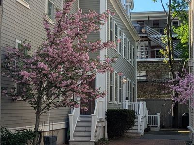 26 White Pl #3, Brookline, MA, 02445