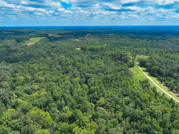 0 Freedom Rdg Lot 41, Indian Mound, TN 37079
