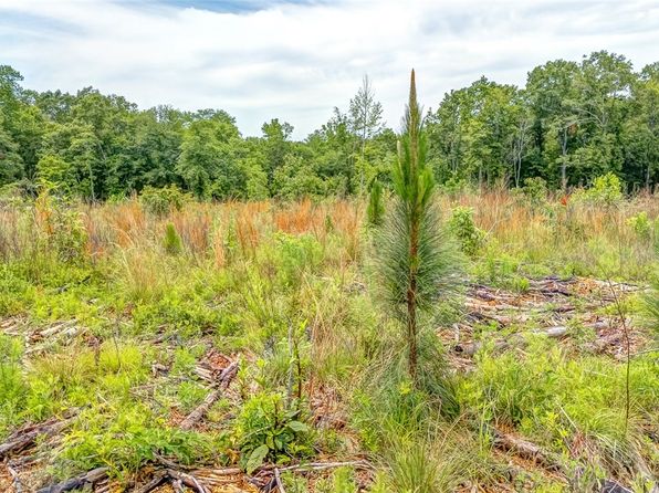 0 County Road 35, Union Springs, AL 36089