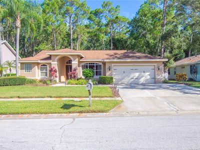 3417 Tanglewood Trl, Palm Harbor, FL, 34685