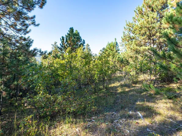 LOT 17 Dynasty Rd, Lead, SD 57754