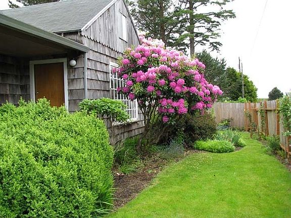 spring frontyard