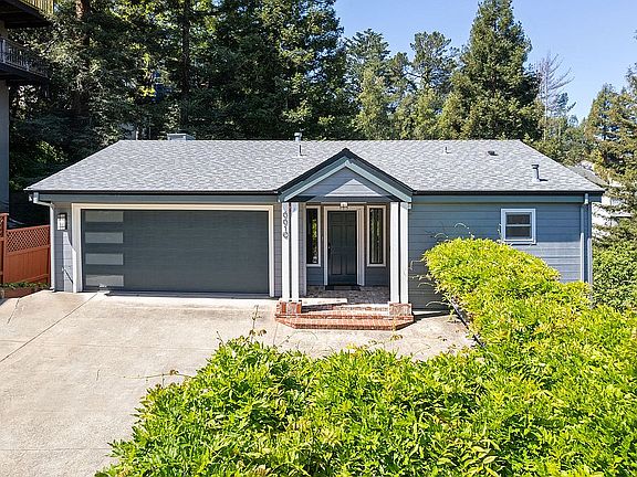 Top of Piedmont Pines