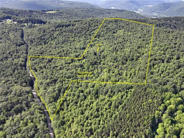 0 Park Hill Rd #50, Van Etten, NY 14889