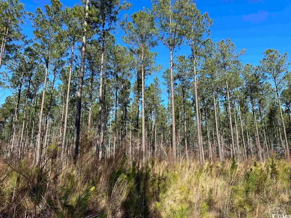 TBD Seaboard Rd., Lane, SC 29564