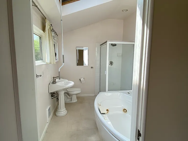 Primary master bath with Jacuzzi jetted tub and skylight