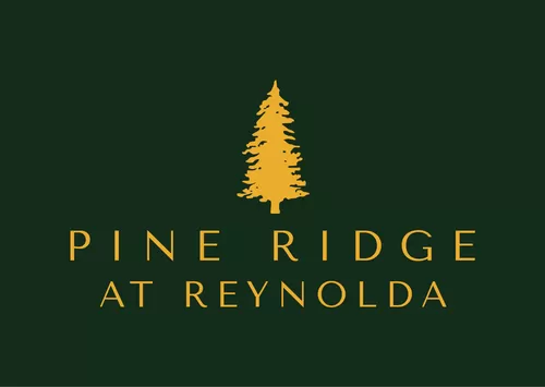 Primary Photo - Pine Ridge at Reynolda