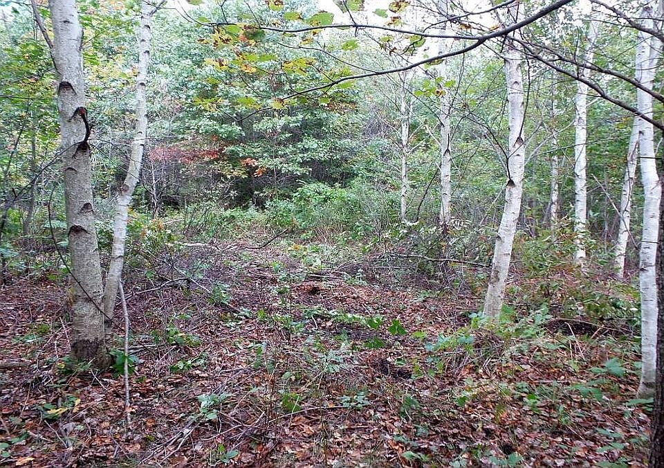 1st image of N8622 Timber Ln