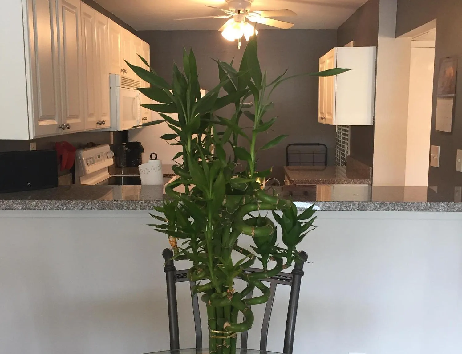 1 bed, 1.0 bath, 795 sqft, $2,150 — Photo 4