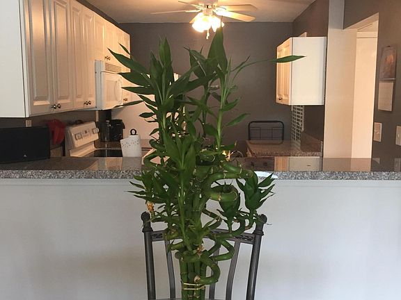 4th image of 10 Royal Palm Way #2030