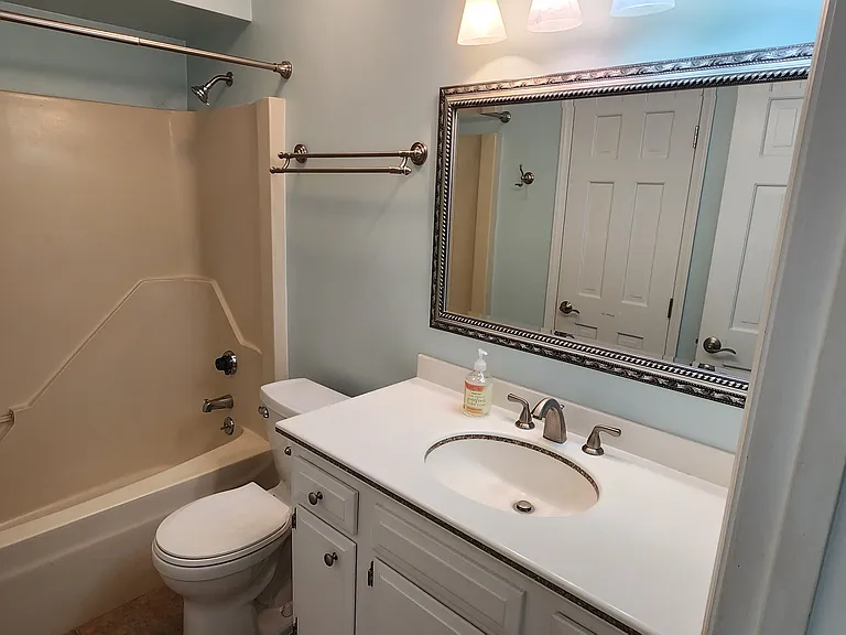 Downstairs bath - accessible from master and hall
