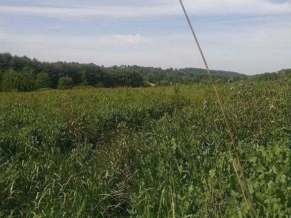 4th image of 0 Old Niles Ferry Rd Lot 33R2