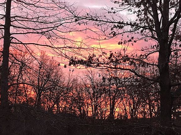 Morning view from porch