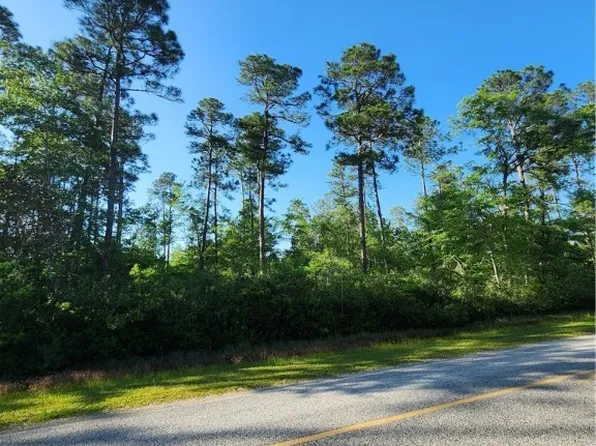 0 Clyo Shawnee Road, Springfield, GA 31329