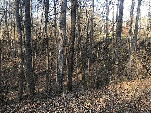 3rd image of Dogwood Ct