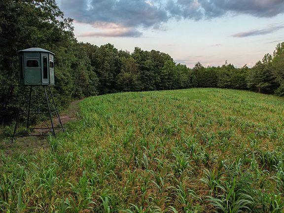 2nd image of 1651 Yellow Creek Rd