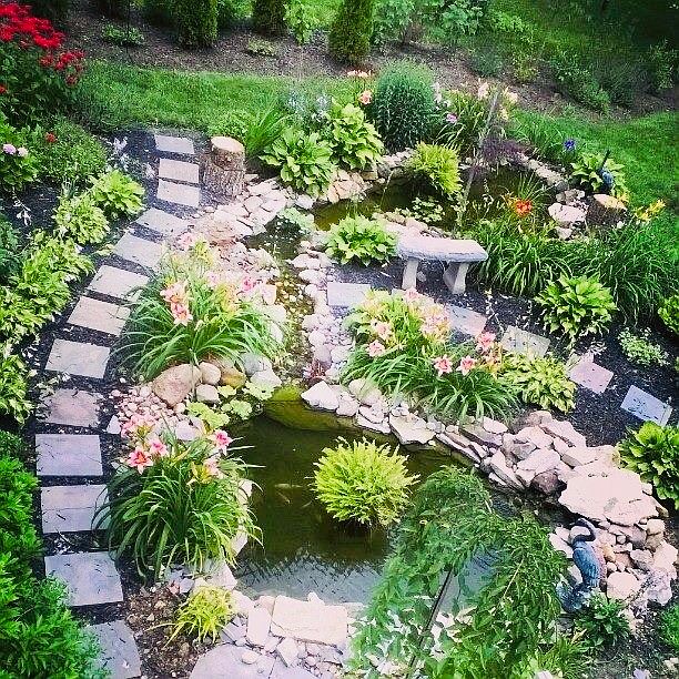 Your own private oasis.