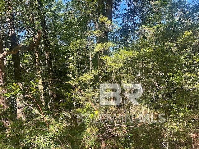 2nd image of 42507 Amelia Rd