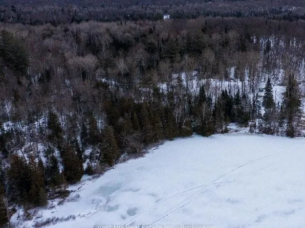 2193A Fern Glen Rd S, McMurrich/monteith, ON P0A 1Y0