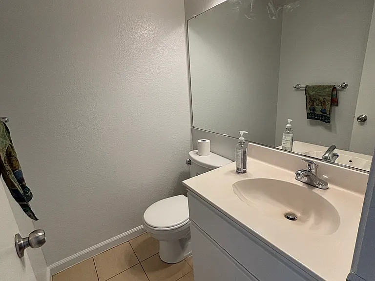 Downstairs half bathroom