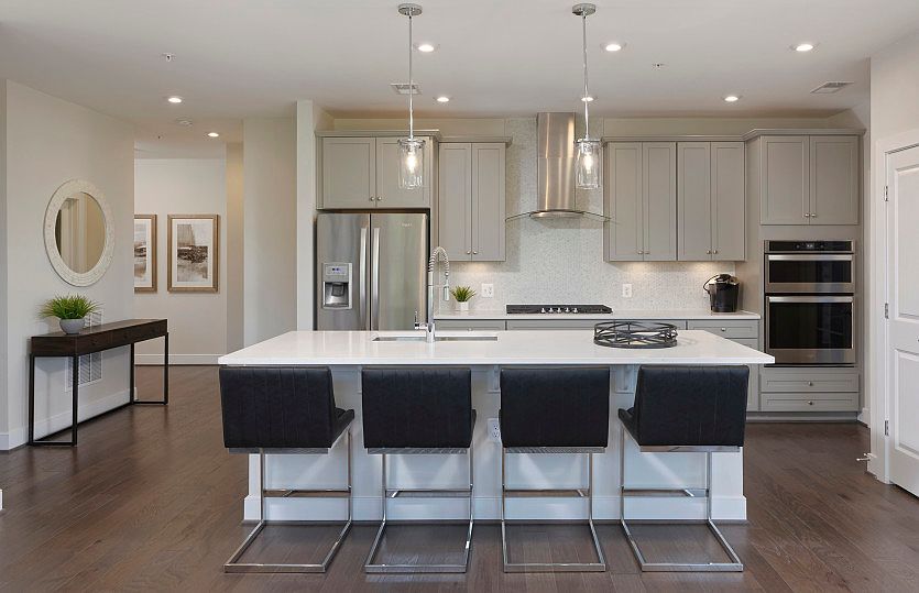 Model Representation - Open Gourmet Kitchen in the Ava located at MetroPark at Arrowbrook.