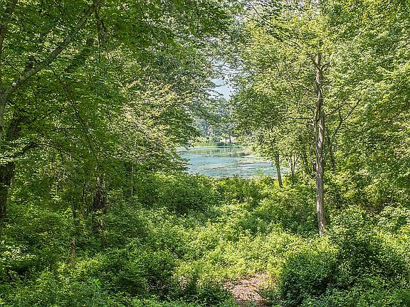 3rd image of 71 Heather Hollow Dr