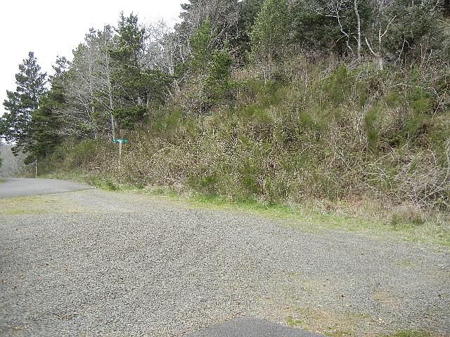 2nd image of Cedar St #1