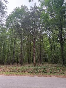 Pine Valley Dr, Edgefield, SC, 29824