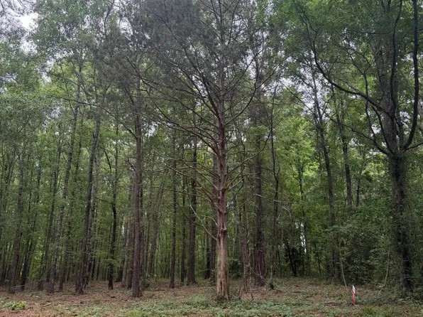 Pine Valley Dr, Edgefield, SC 29824