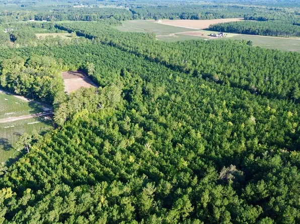 0 Governors Rd, Windsor, NC 27983