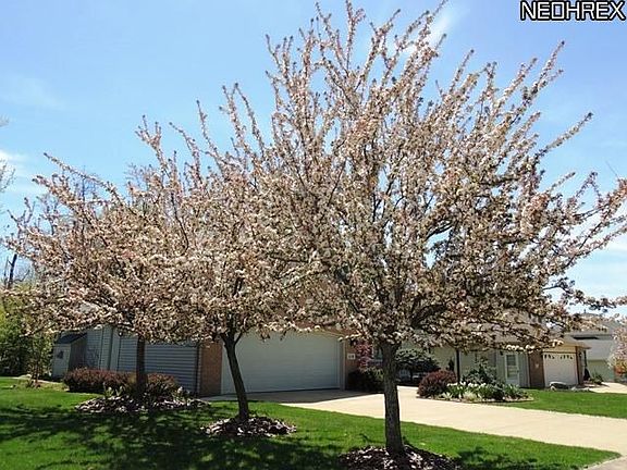 3rd image of 4298 Shelly Dr