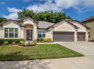 11338 American Holly Dr, Riverview, FL 33578