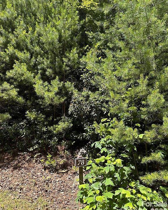 1st image of 66 Boone Cove Rd