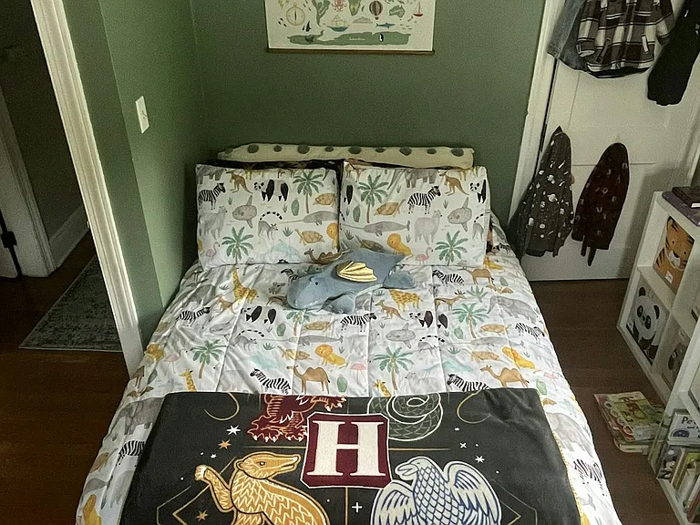 Downstairs bedroom
