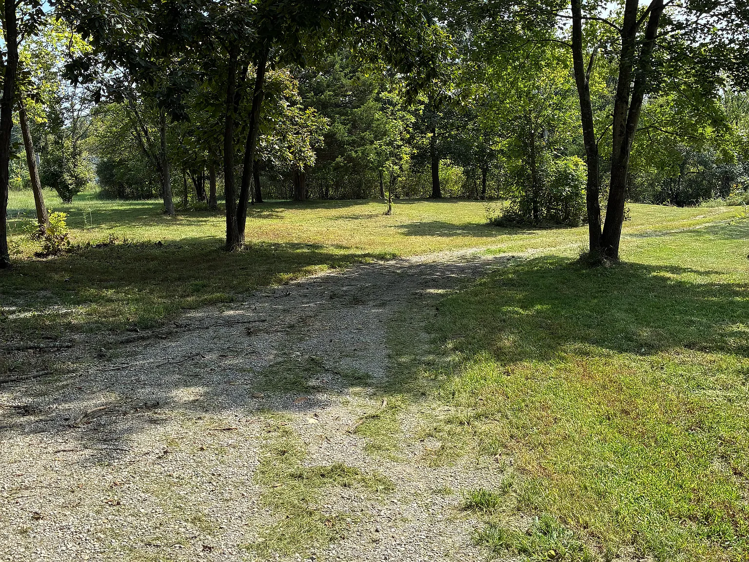 2 bed, $1,150 — Photo 3