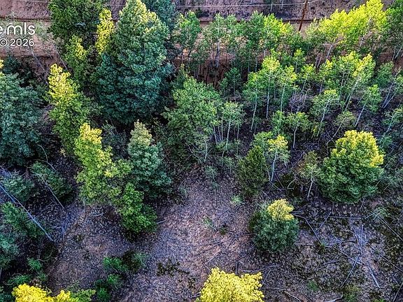 2nd image of 364 Blue Spruce Rd