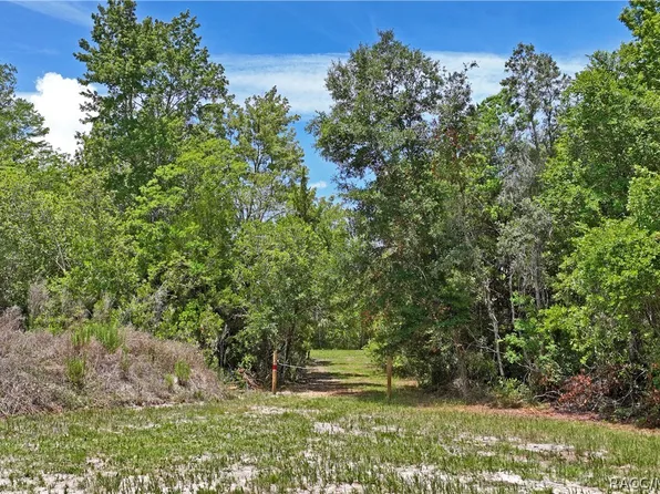 1020 N McGowan Ave, Crystal River, FL 34429