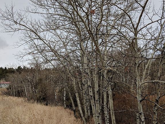 4th image of 242 Horn Peak Dr