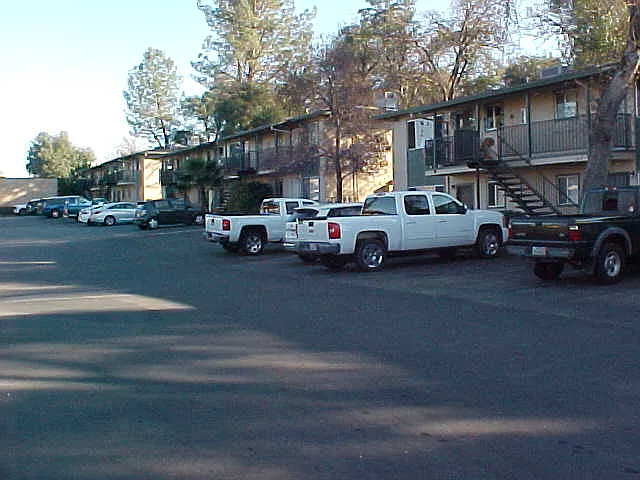 Pine Grove Place — Photo 3